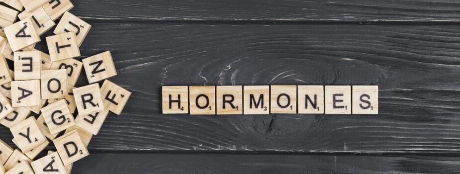 lexique-des-hormones