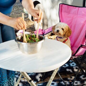 preparer-ses-repas-pour-manger-sainement-en-voyage